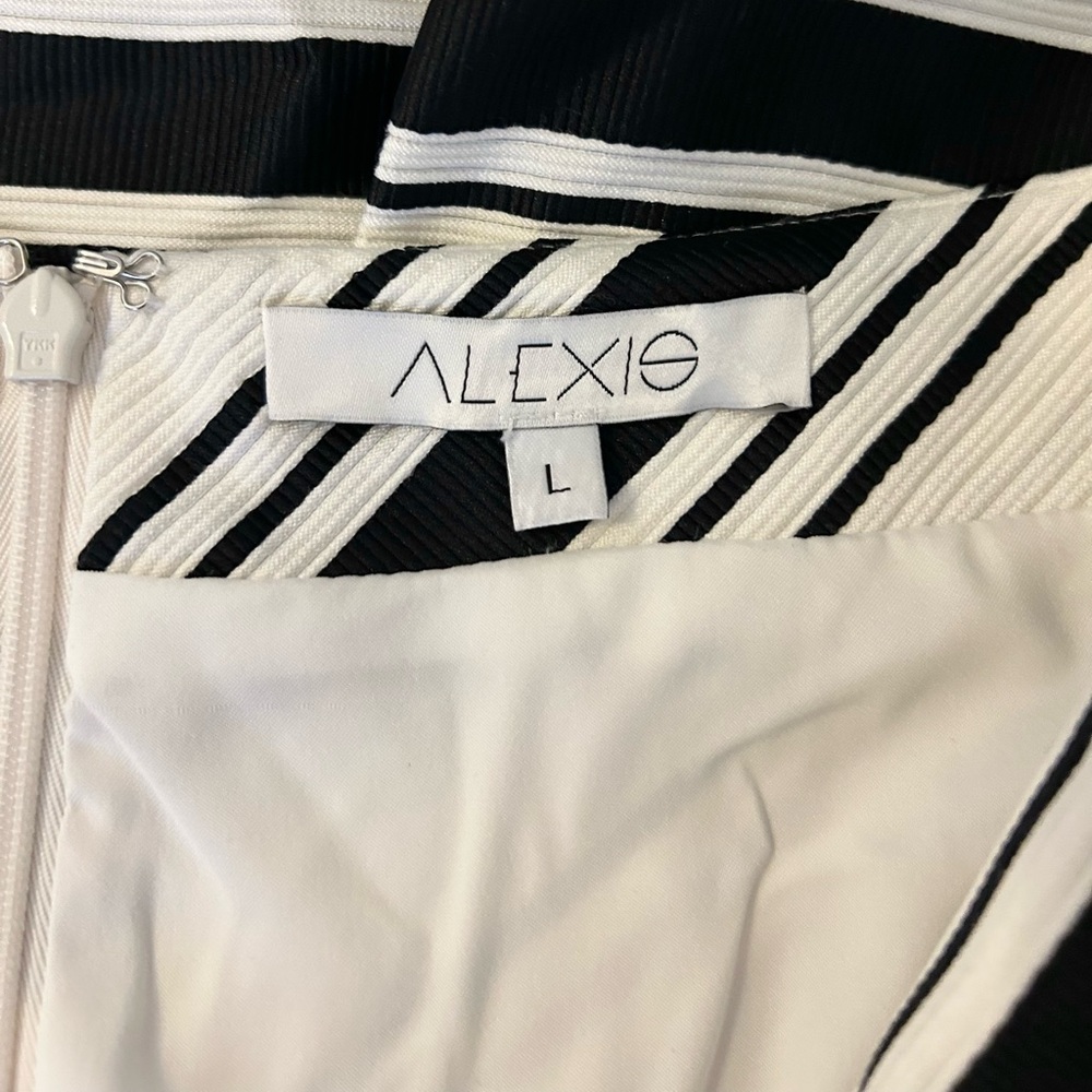 ALEXIS Emmerson Midi Skirt - Picture 10 of 10